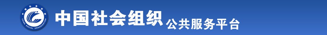 舔插水淫奶爽叫浪全国社会组织信息查询